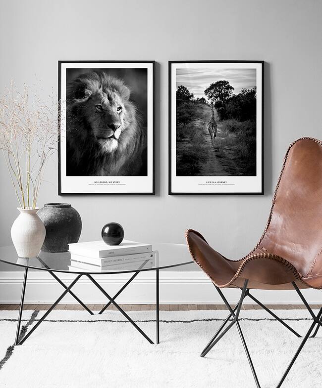 Gallery wall featuring animals