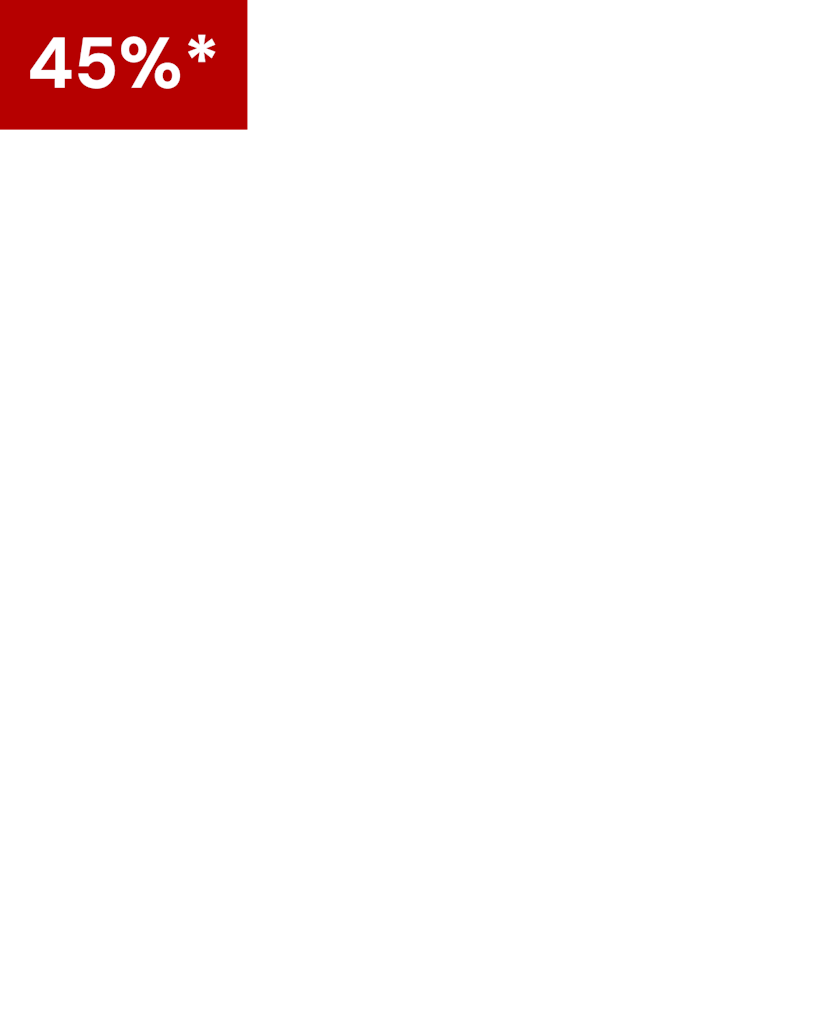 Banner logo - The Holiday Collection