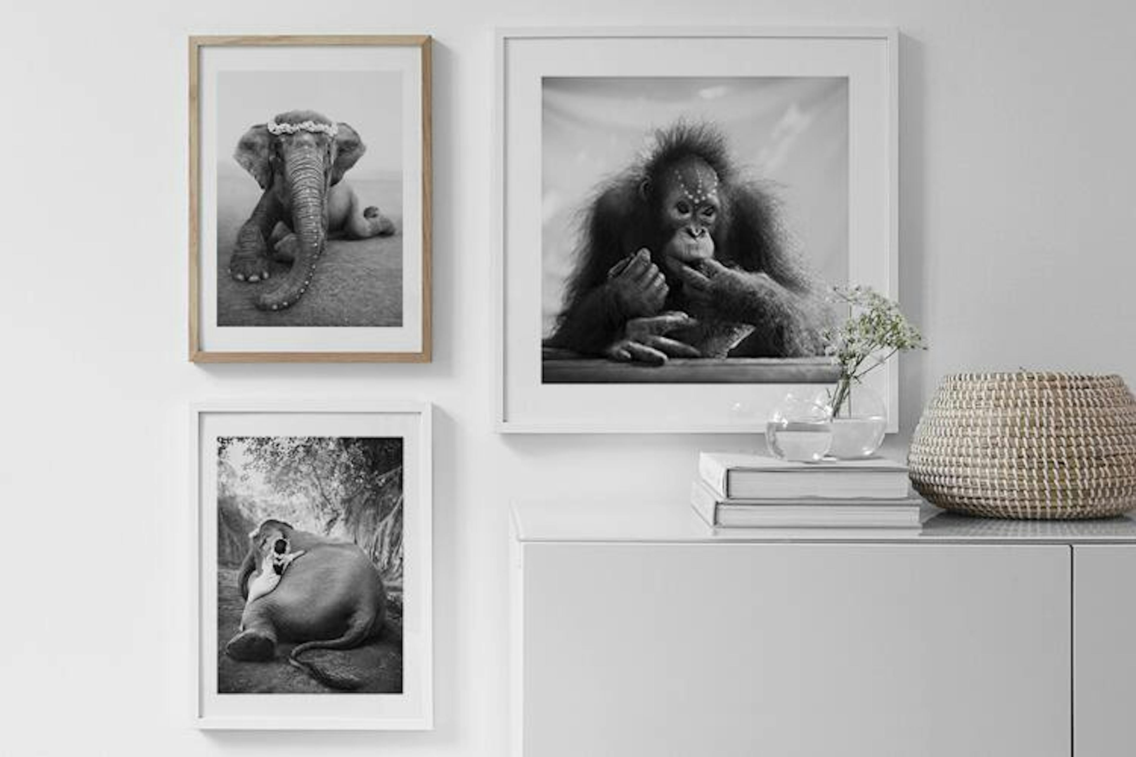 Fabulous Photo Art from Love Warriors