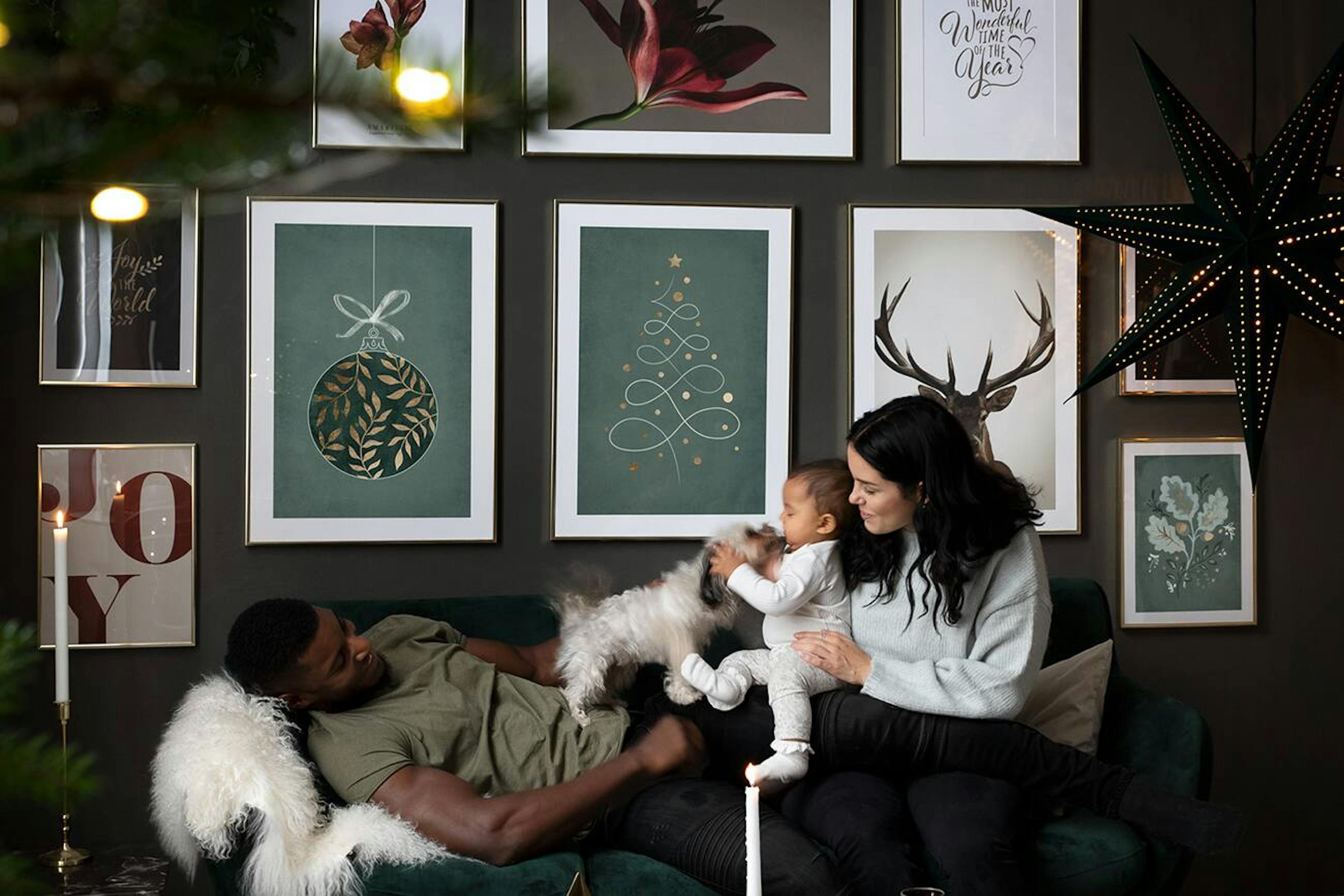 Explore our Holiday Collection