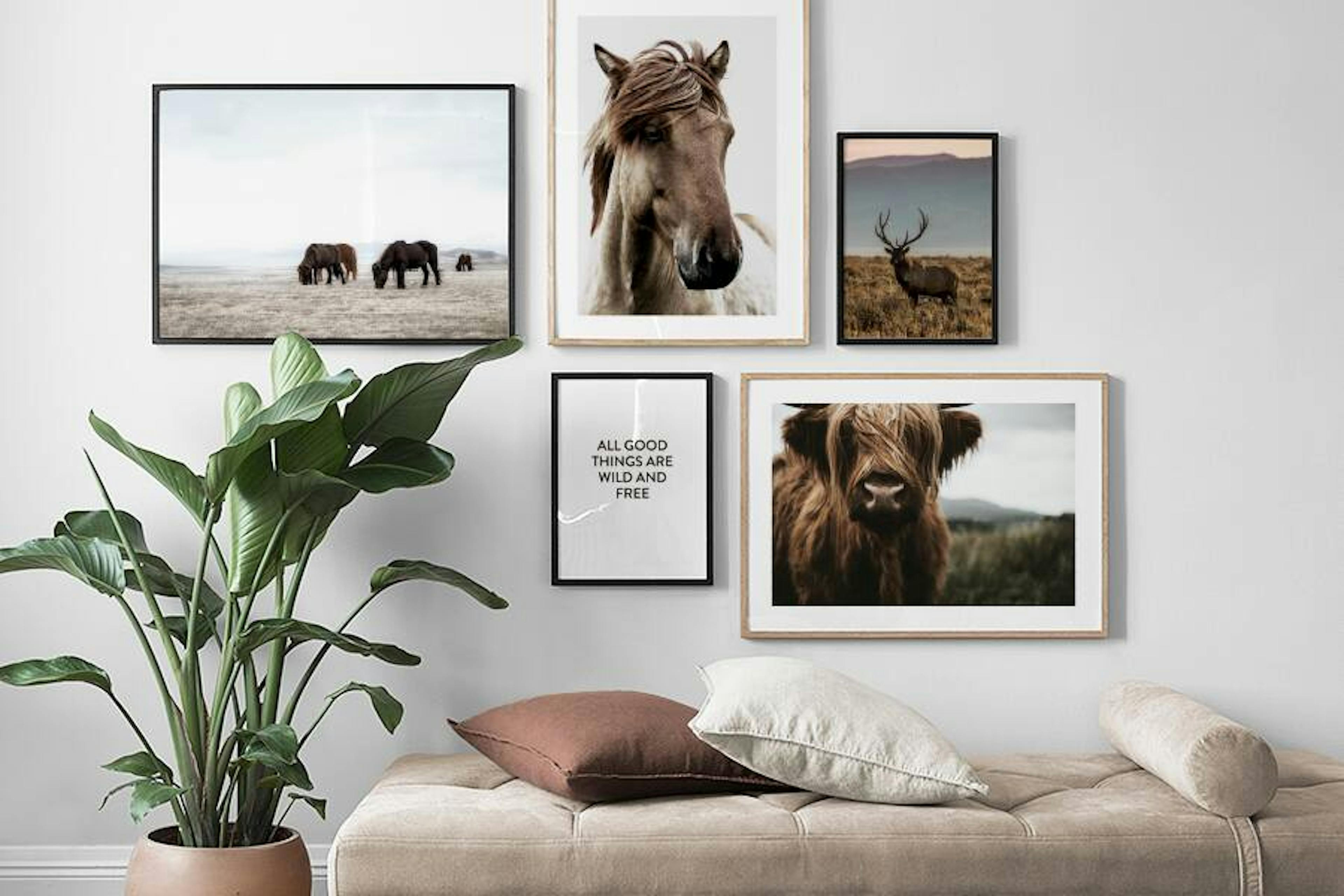 Inred med inspiration från djur och natur