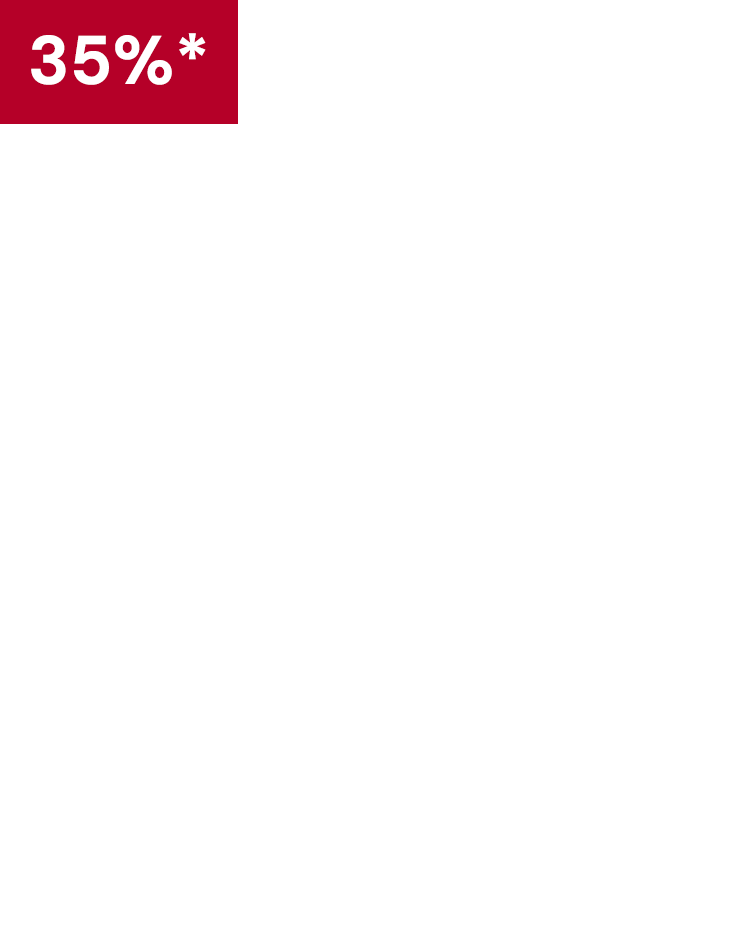 Banner logo - The Holiday Collection