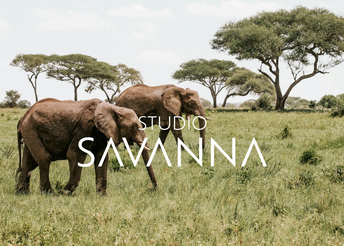 SAVANNA