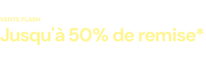 Hero logo - Big Art Sale