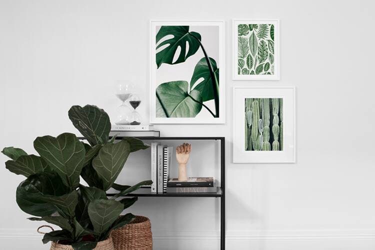 One room, three styles