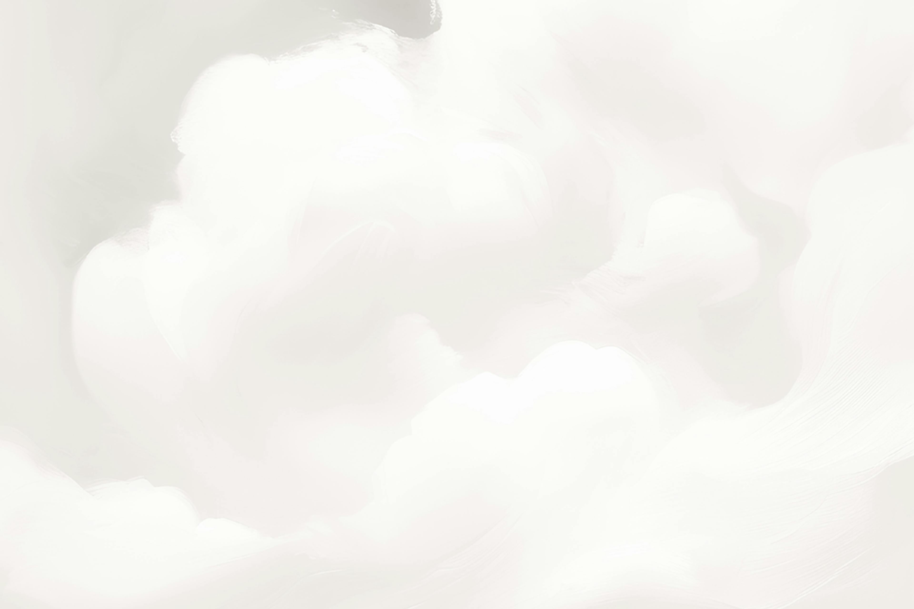 How we are embracing Pantone's Color of the Year 2026: Cloud Dancer