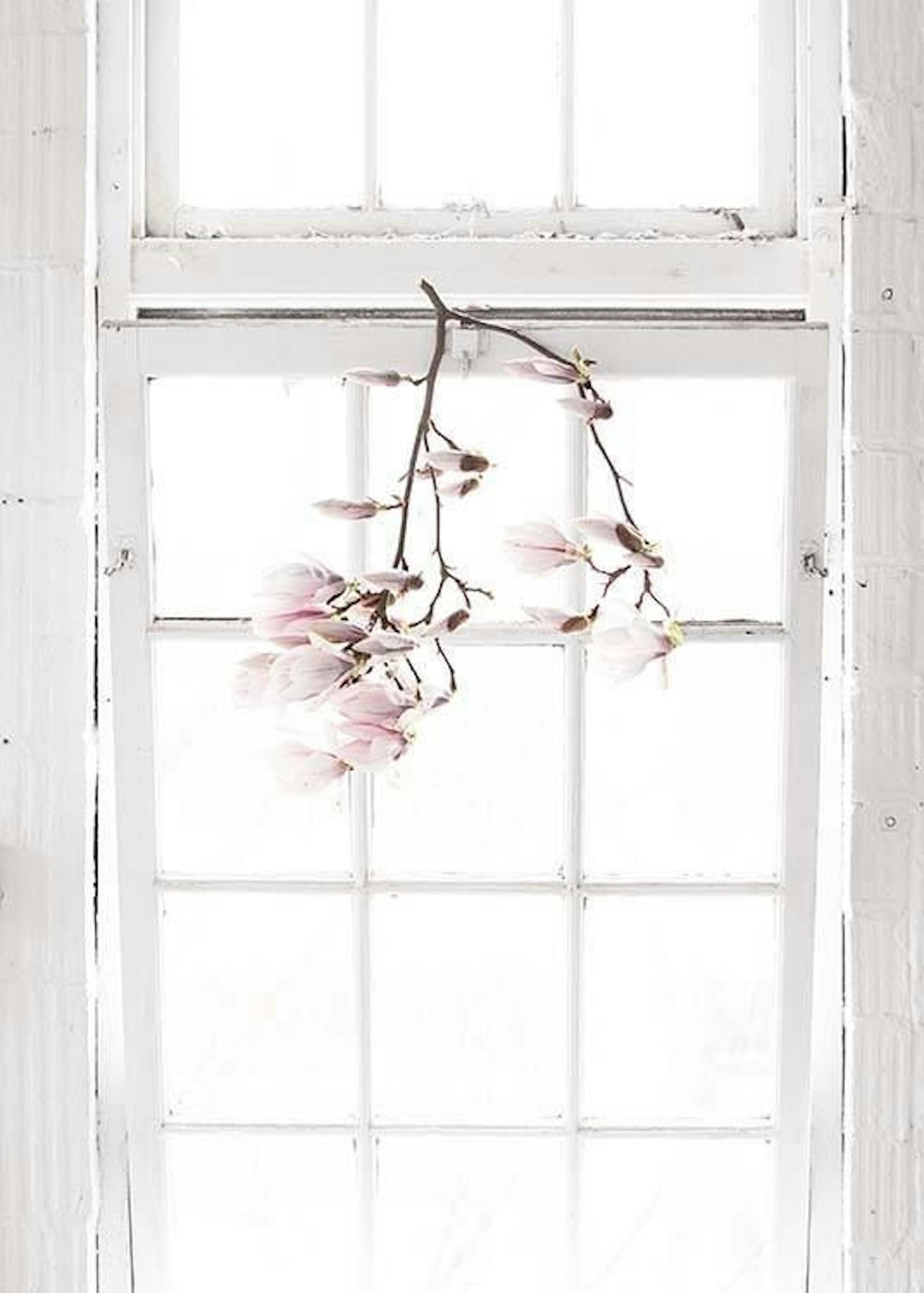 Flowers In The Window Print 0