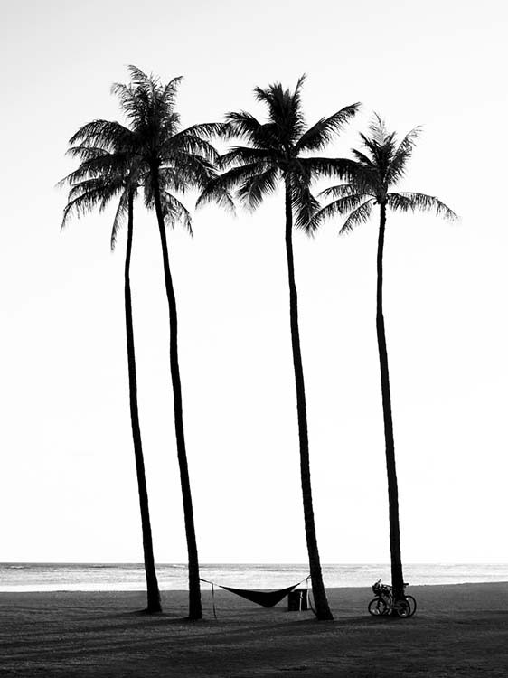 Palm Trees On Beach Affiche 0