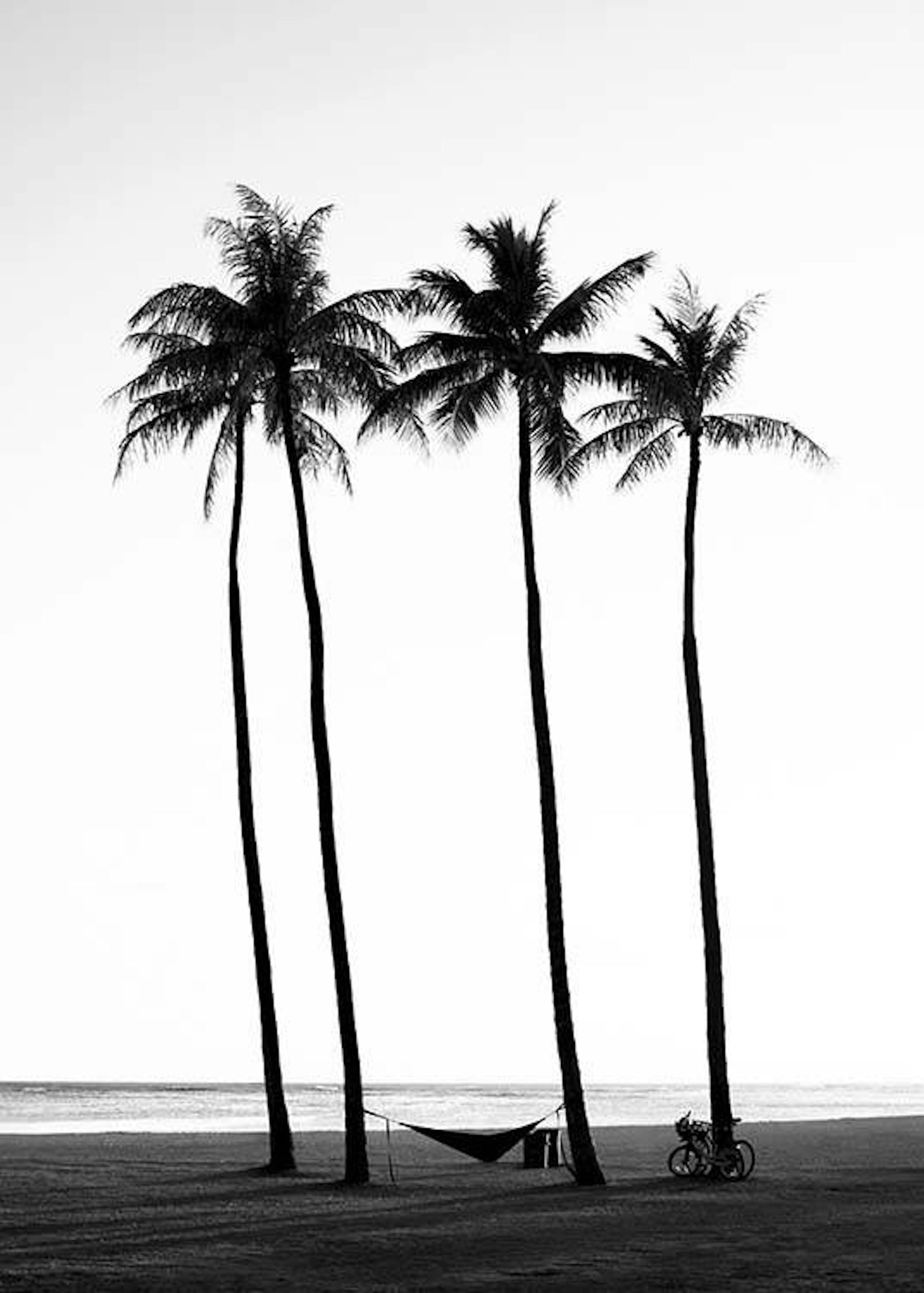 Palm Trees on Beach Plakát 0