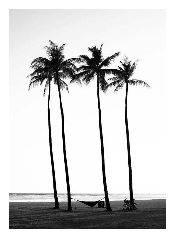 Palm Trees on Beach Poster (30x40 cm)-Poster