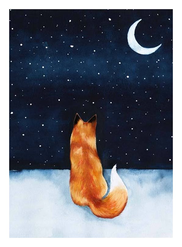 Night Fox Affiche (30x40 cm) - Affiches pour enfants
