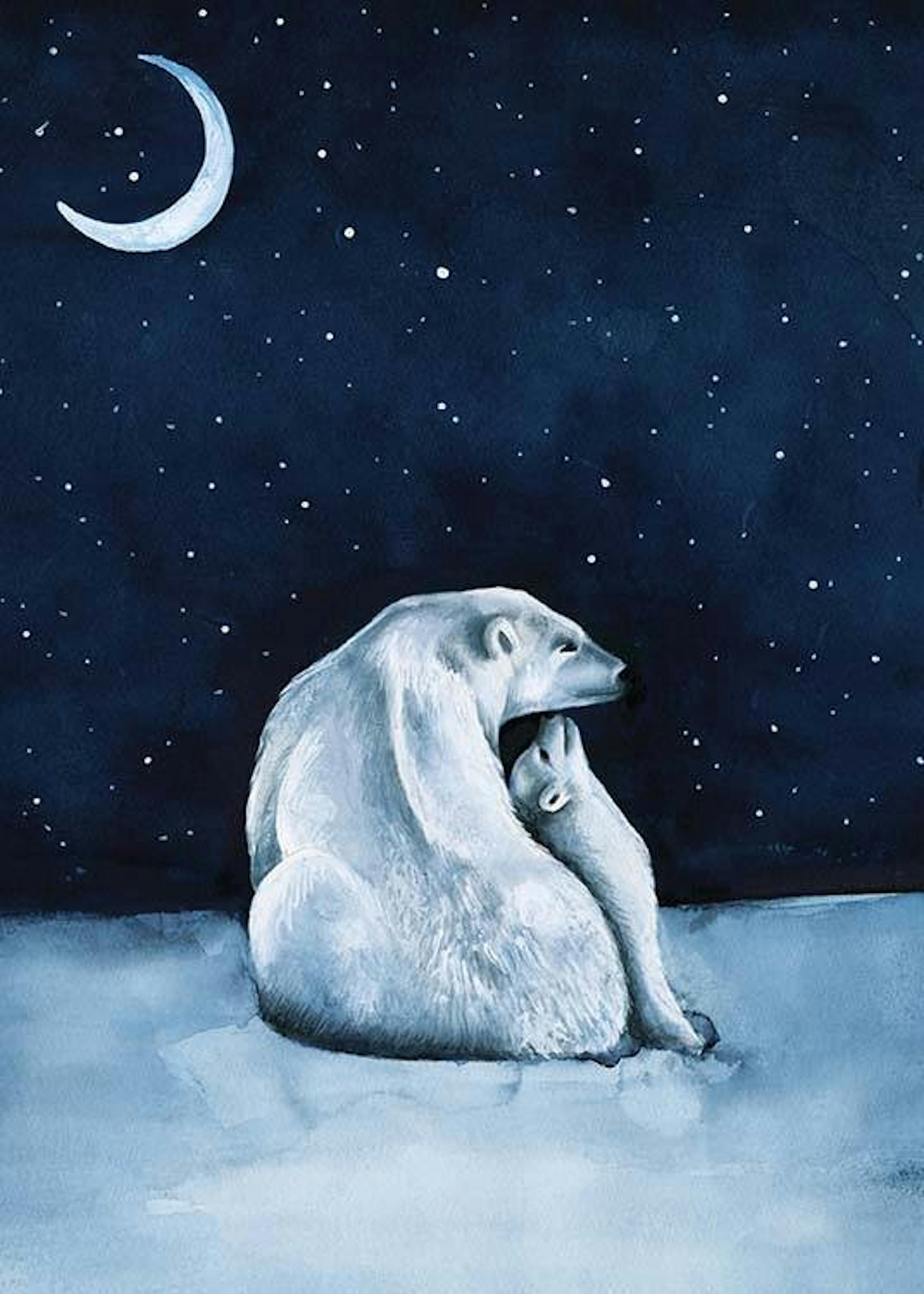 Polar Bear Night Sky Print 0