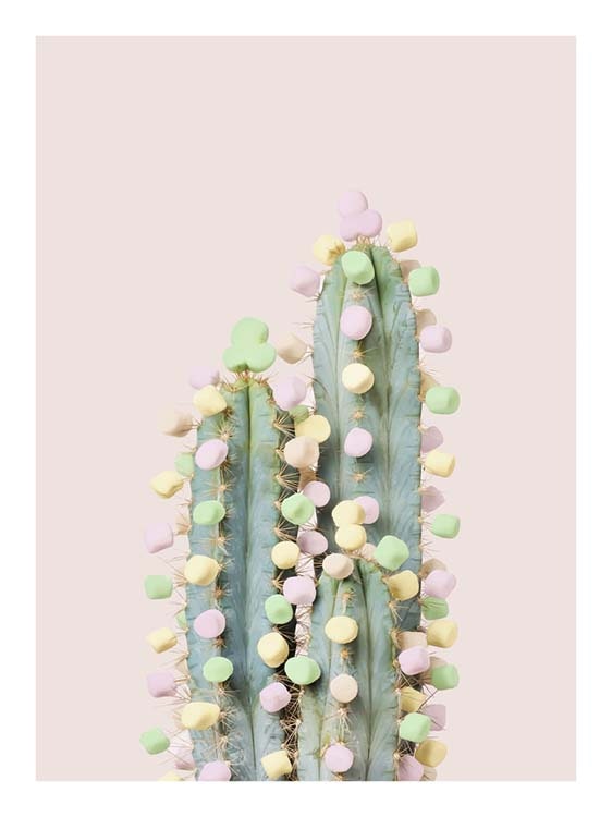 Candy Cactus Plakat 0