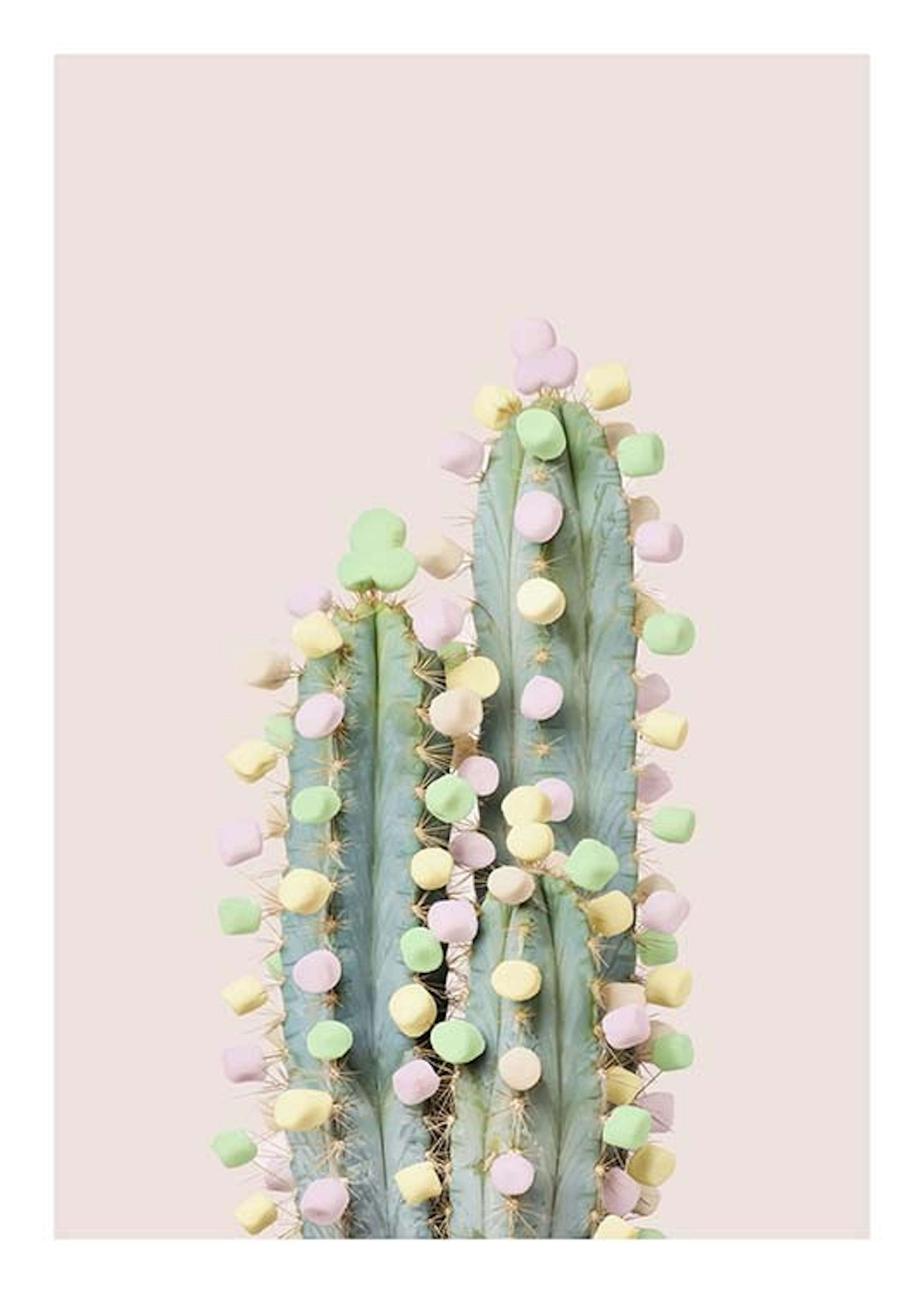 Candy Cactus Print 0