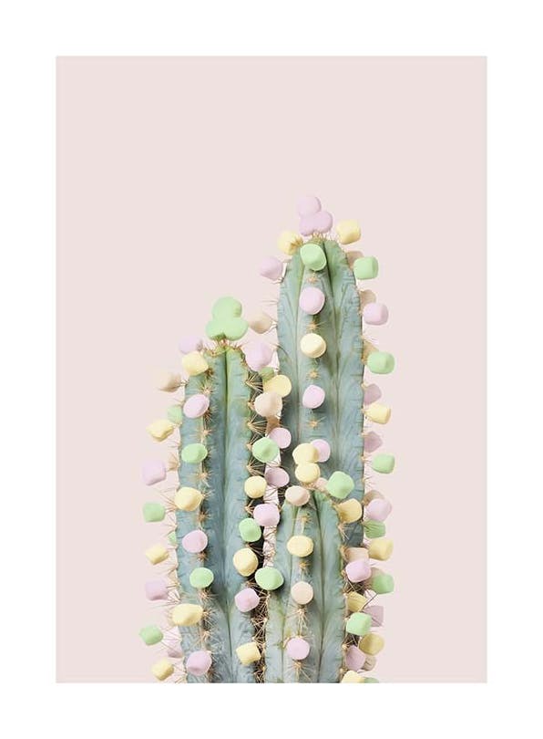 Candy Cactus Poster (21x30 cm)