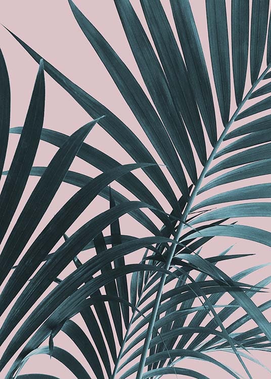 Pastel Palm No1 Poster 0