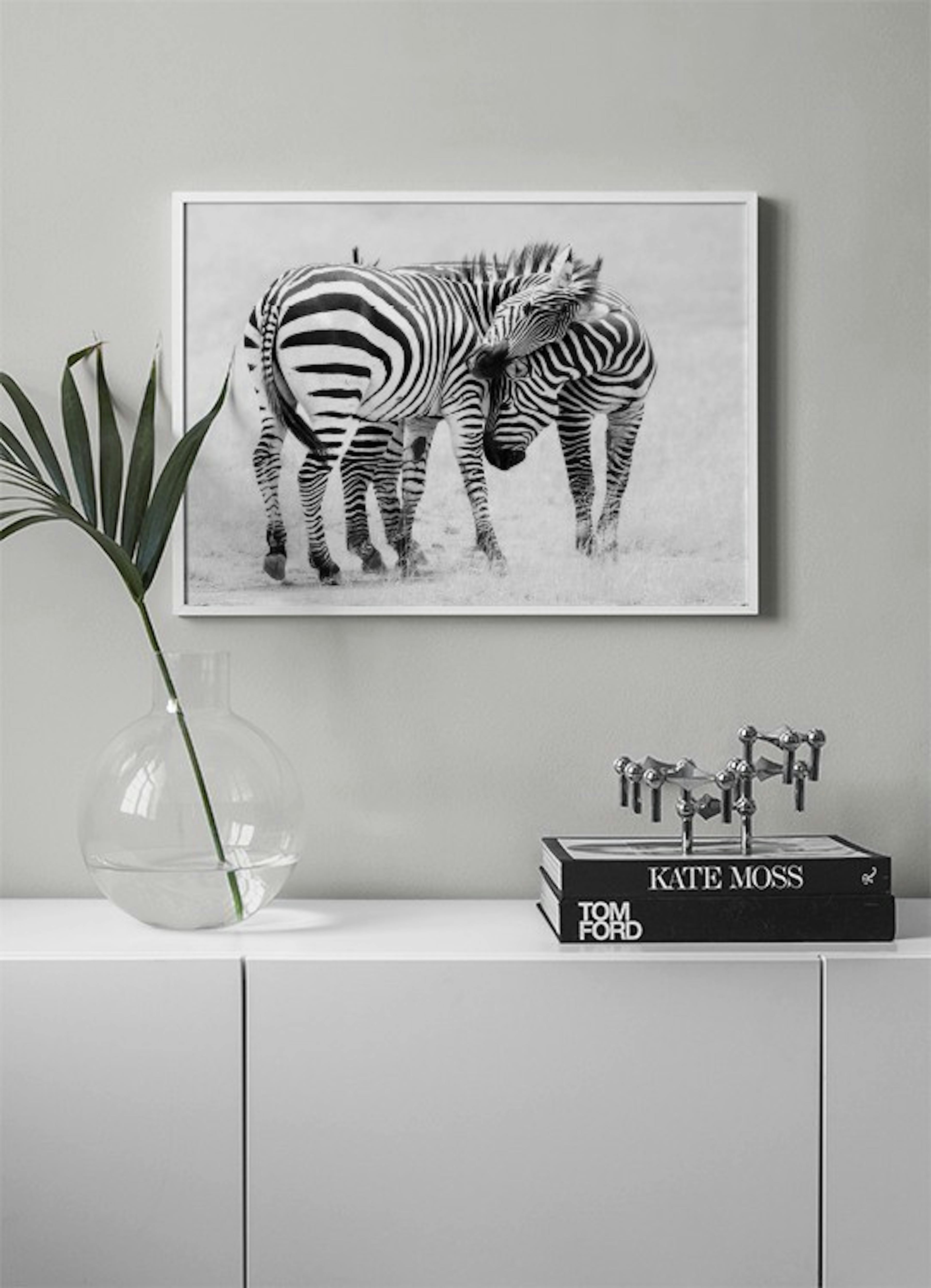 Zebra Love Print