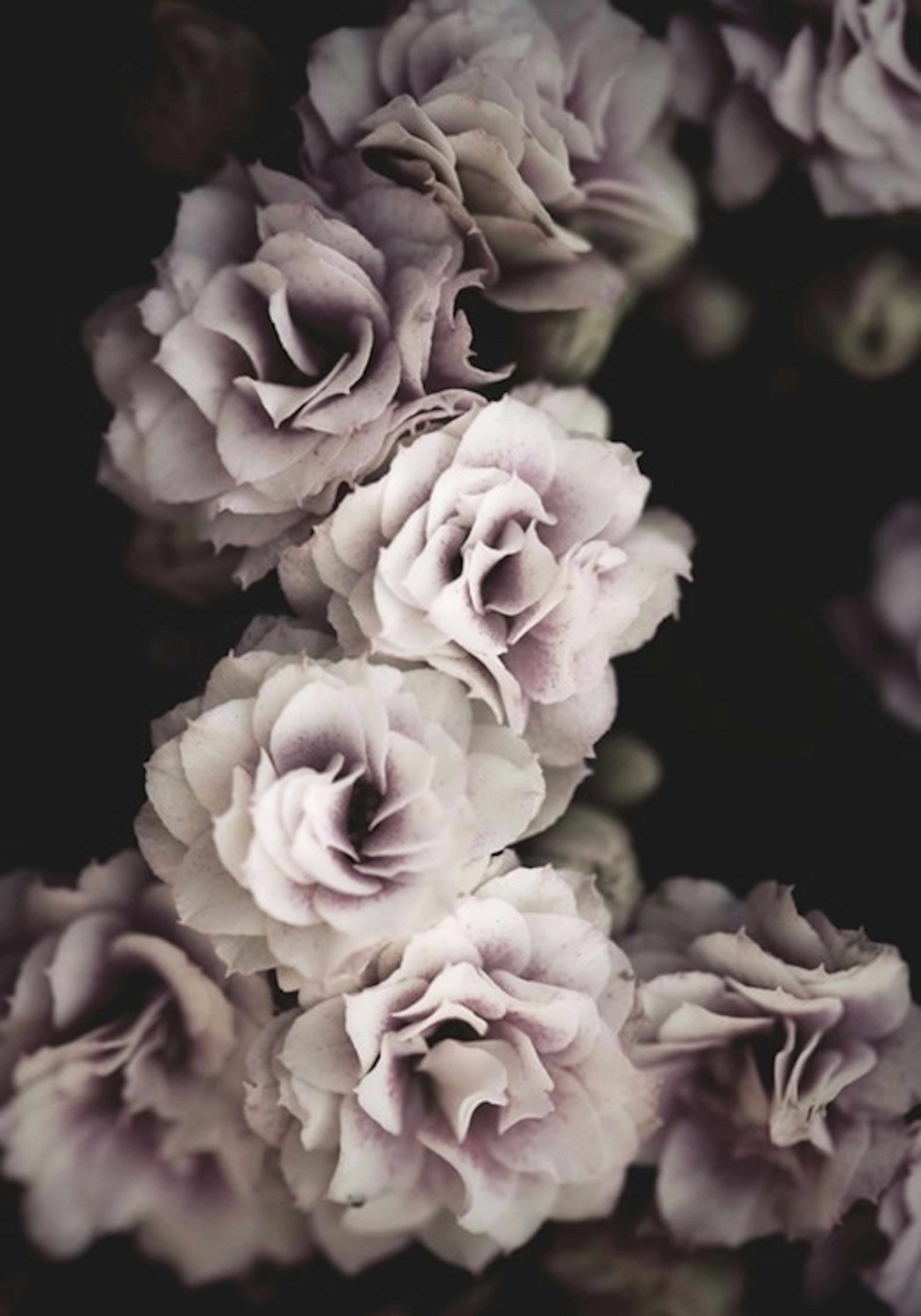 Bouquet De Fleurs Poster 0