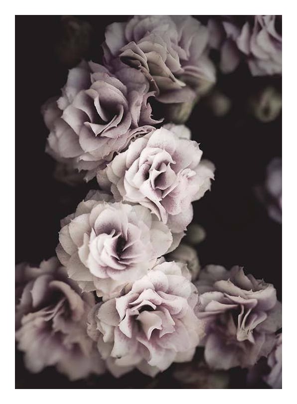 Bouquet De Fleurs Affiche (30x40 cm)  Tableaux floraux