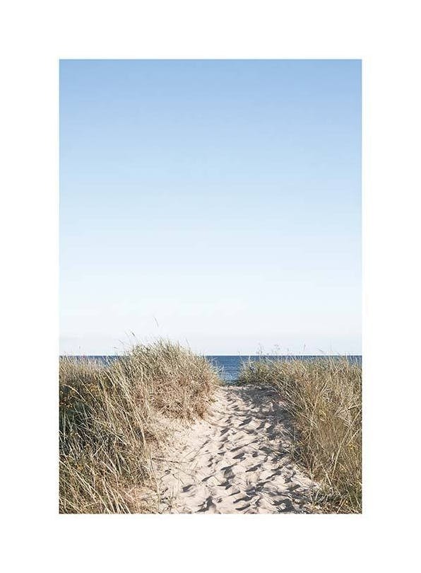 Prints - Path on beach Print (30x40 cm) - Nature prints