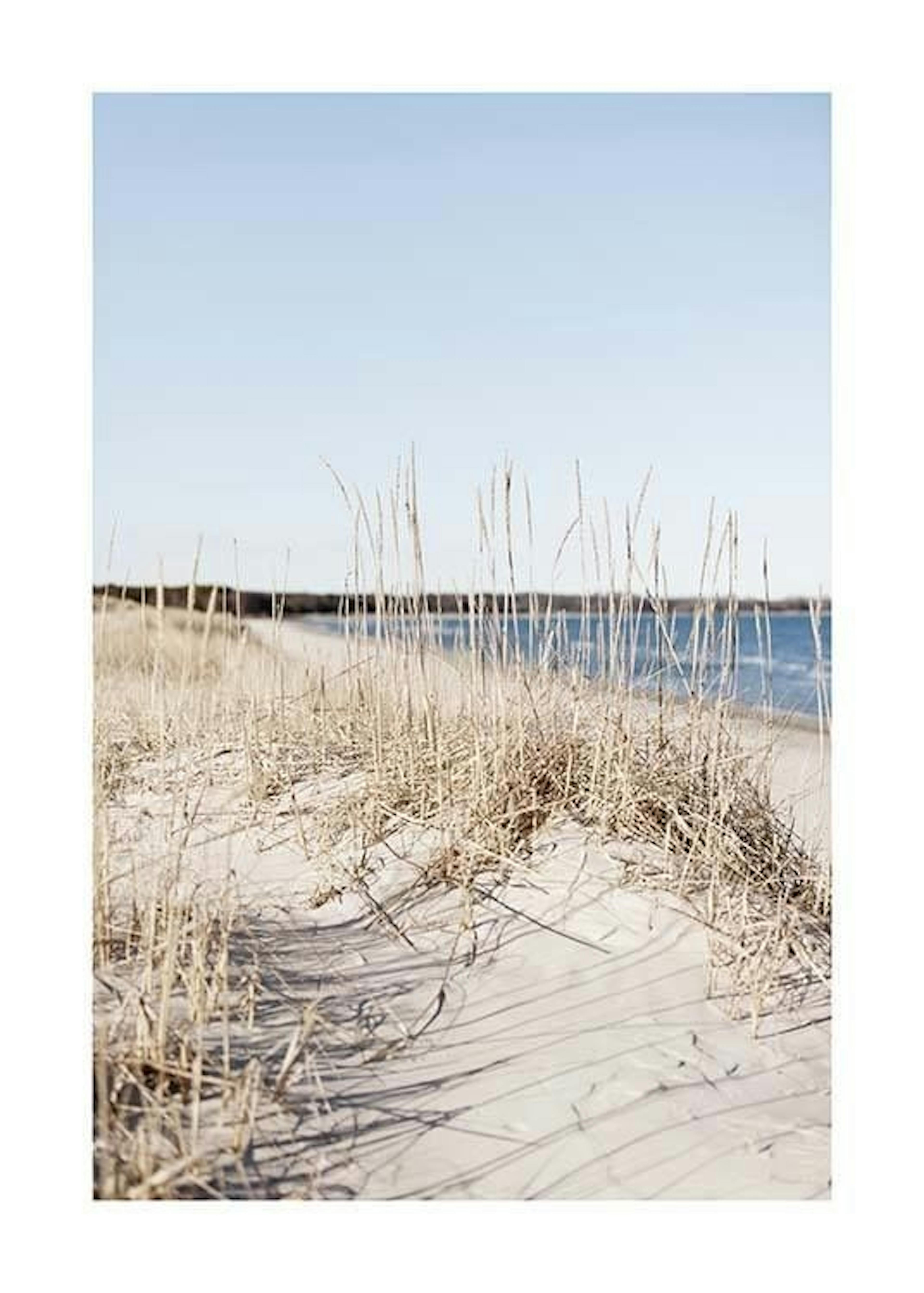 Grass by Sea Plakat 0