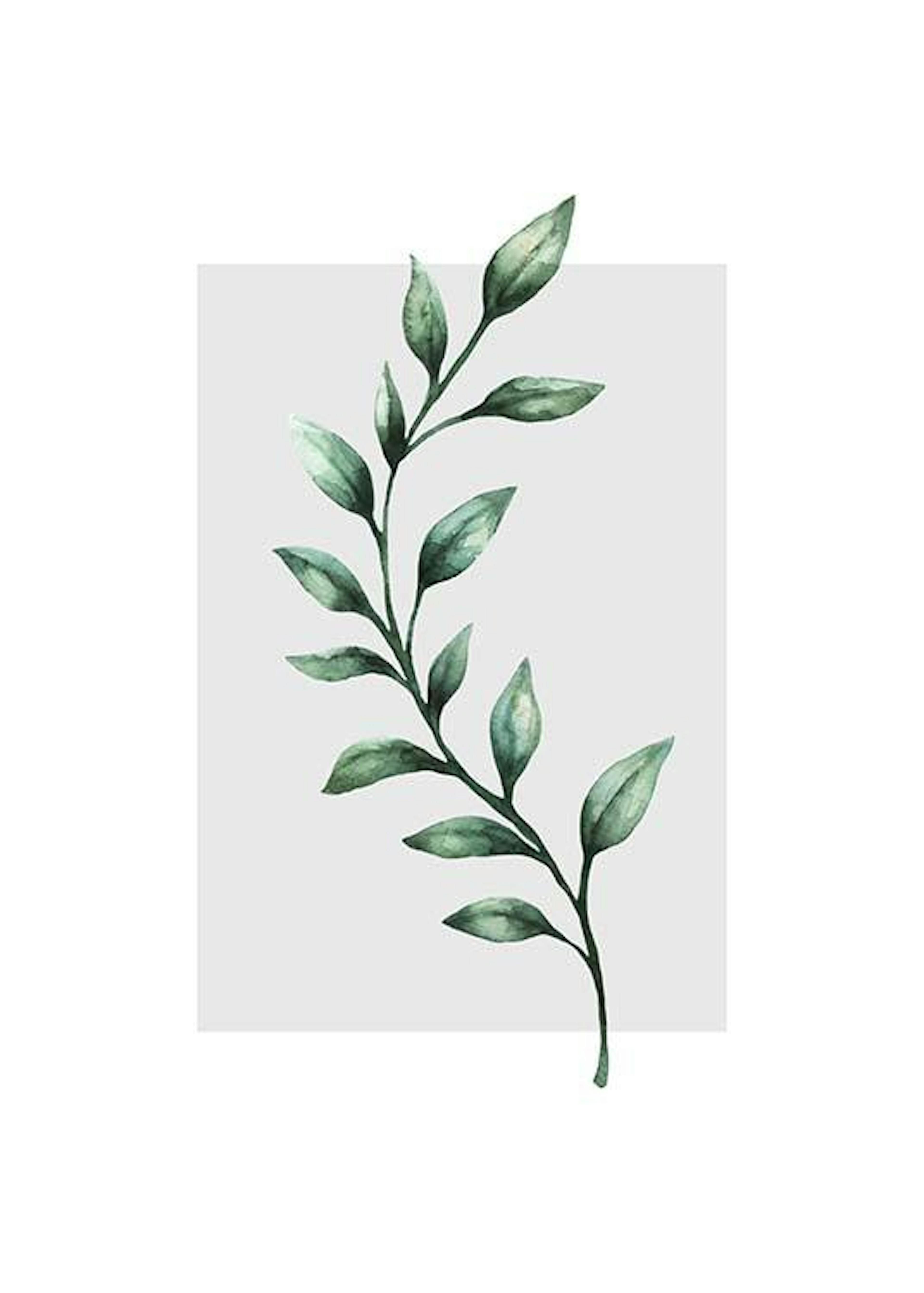 Product image: 1
