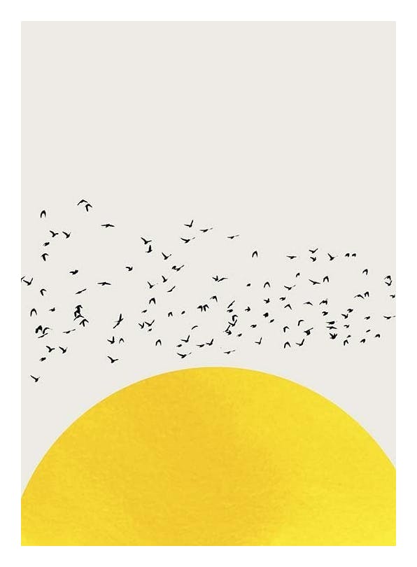 Boris Draschoff / Kubistika - A Thousand Birds Poster (50x70 cm)- Arte grafica e poster