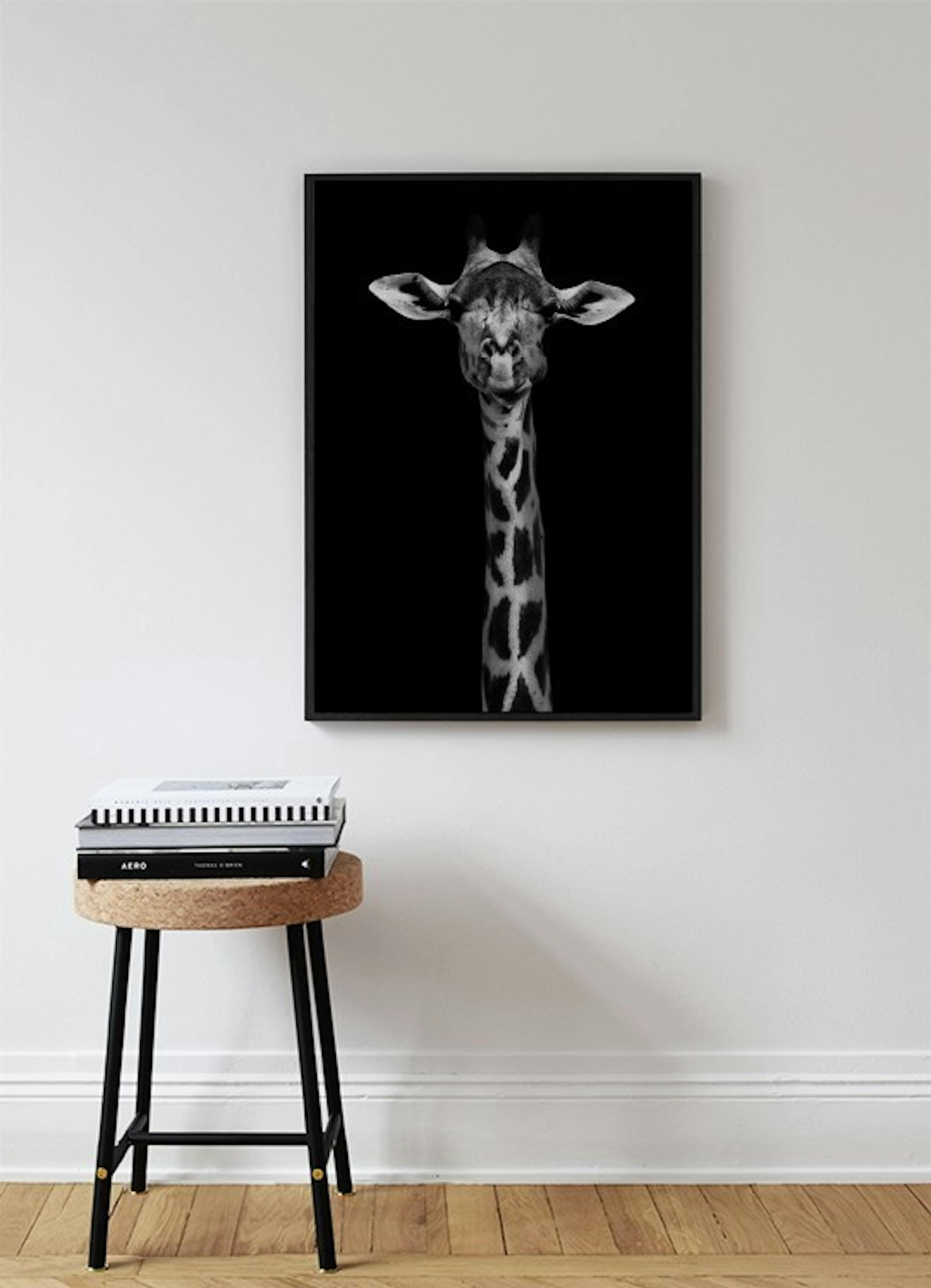 Giraffe on Black Poster