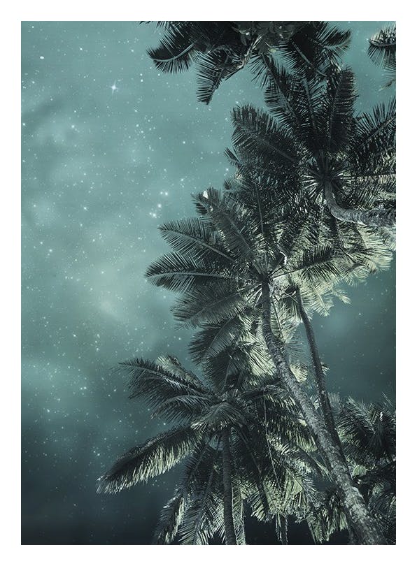 Tropical Night No3 Poster (30x40 cm) - Natuur posters