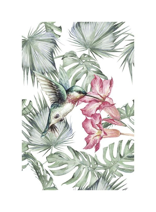 Prints - Tropical Bird No1 Print (50x70 cm) - Animal art prints