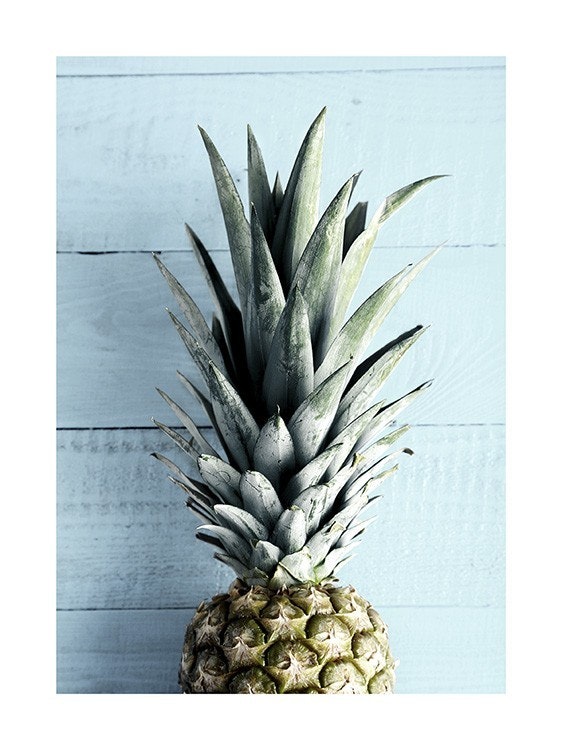 Pineapple Top Poster 0