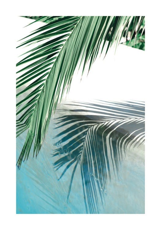 Poolside Palm Reflection Poster 0