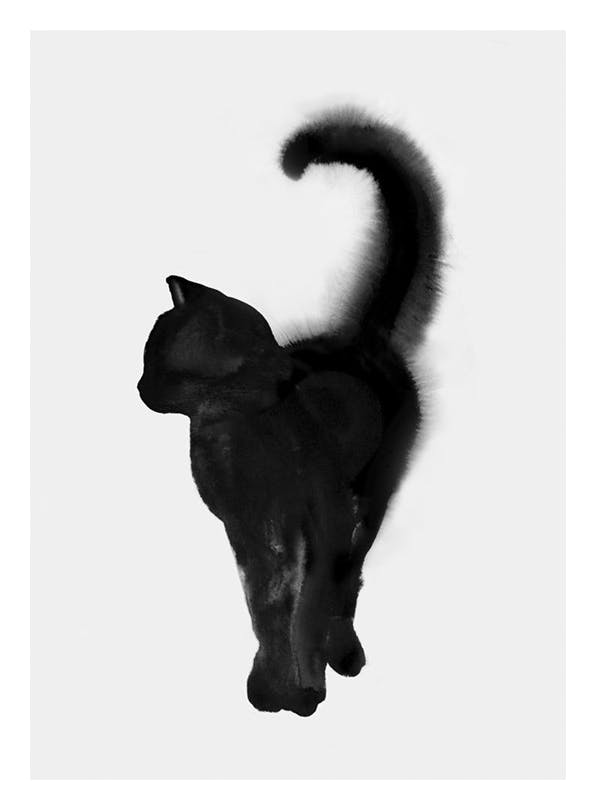 Proud Cat Poster (30x40 cm) - Zwart wit posters