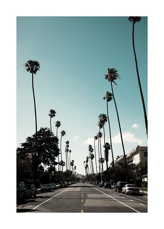 Street of Los Angeles 포스터 0