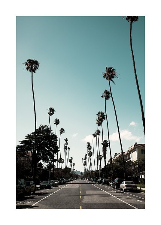 Street of Los Angeles Poster - Photo print featuring street in Los