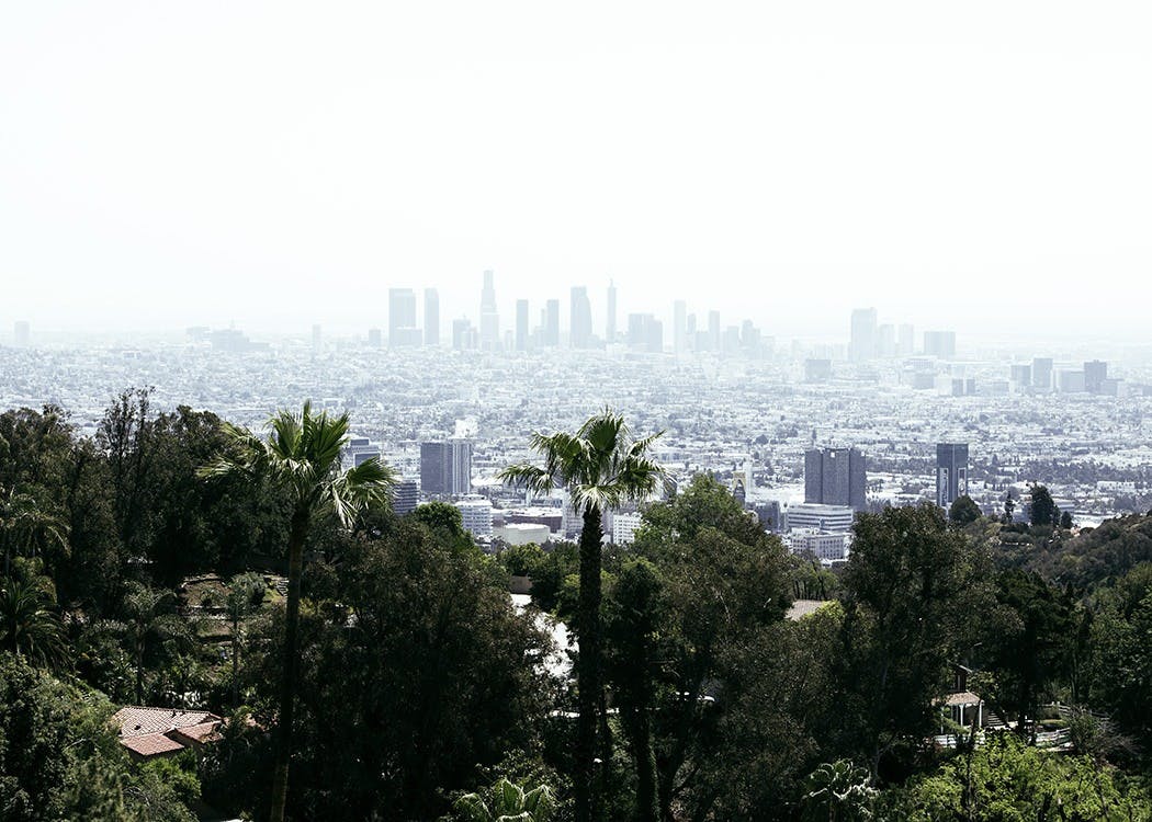 Skyline of Los Angeles Plakat 0