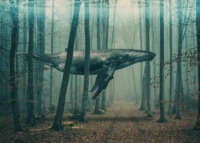 Whale in Forest Plakat 0