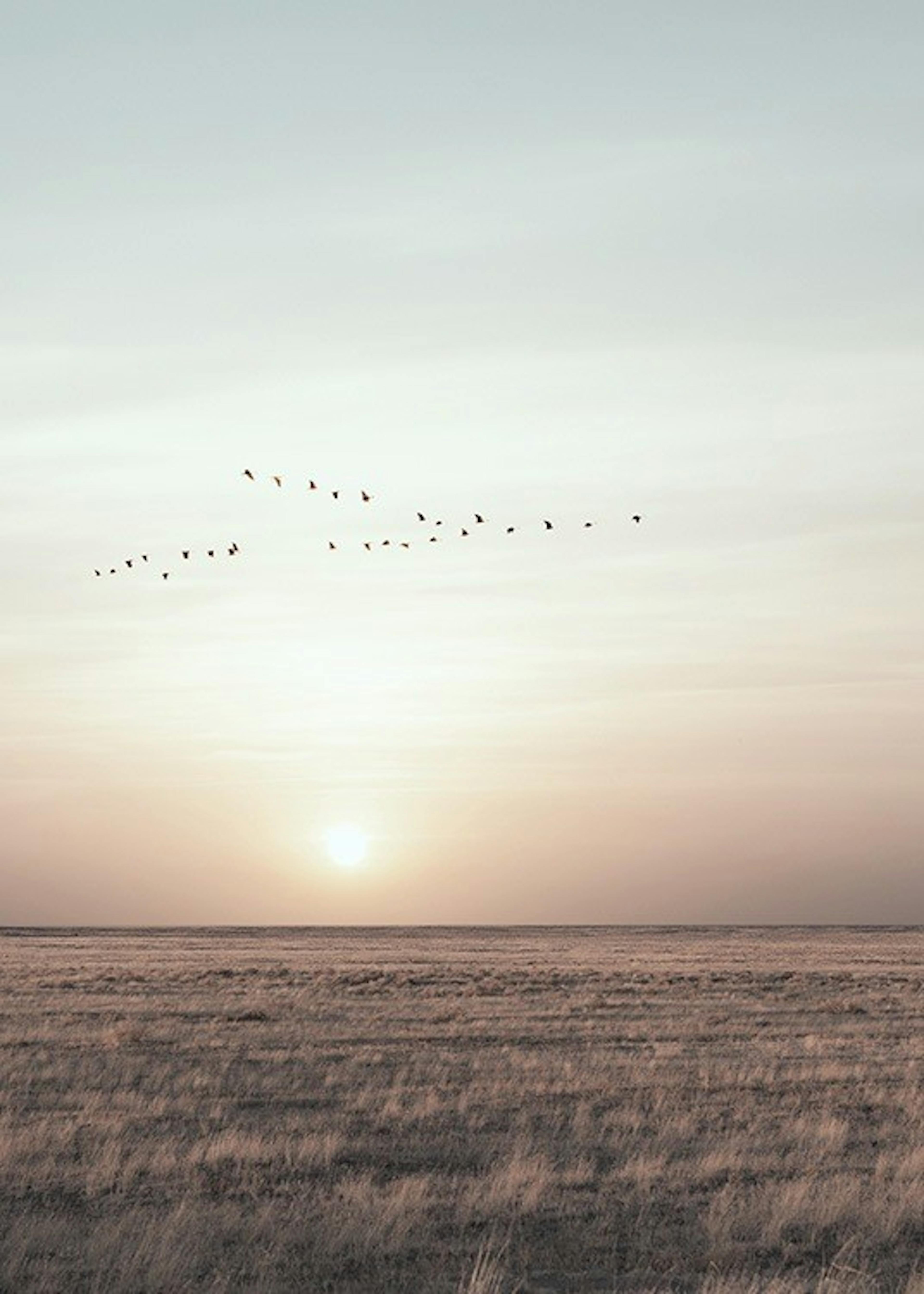 Field Sunset With Birds Print 0