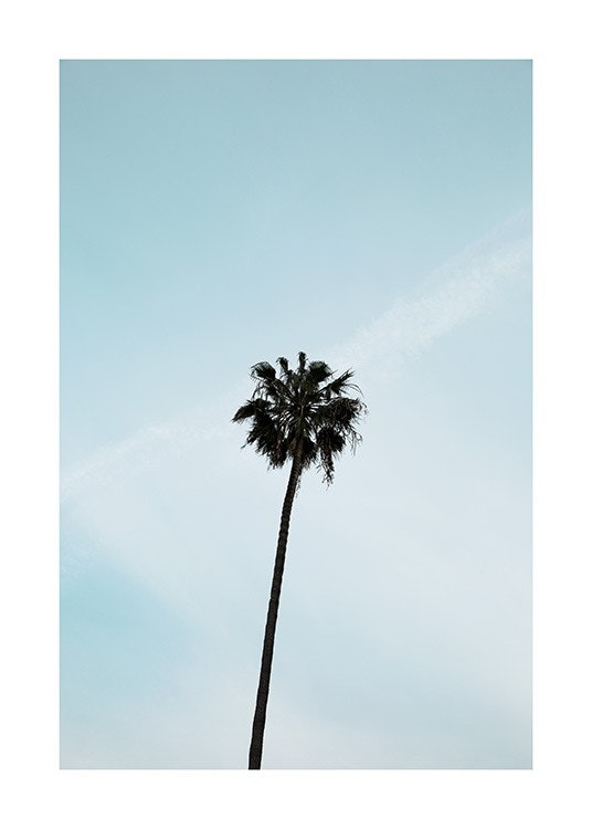 Palm Tree Plakat 0