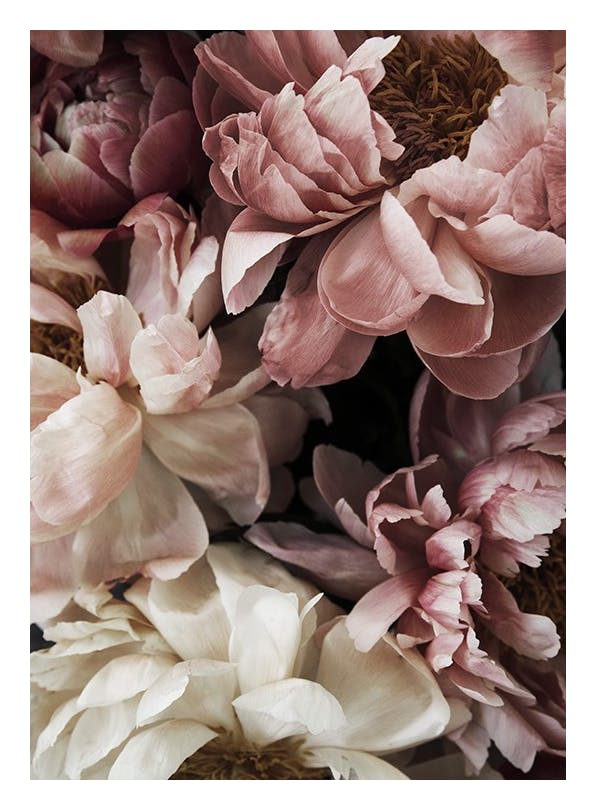 Flower Wall Plakat (21x30 cm) - Fotokunst