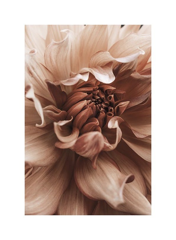Prints - Earth Flower Print (50x70 cm) - Floral prints
