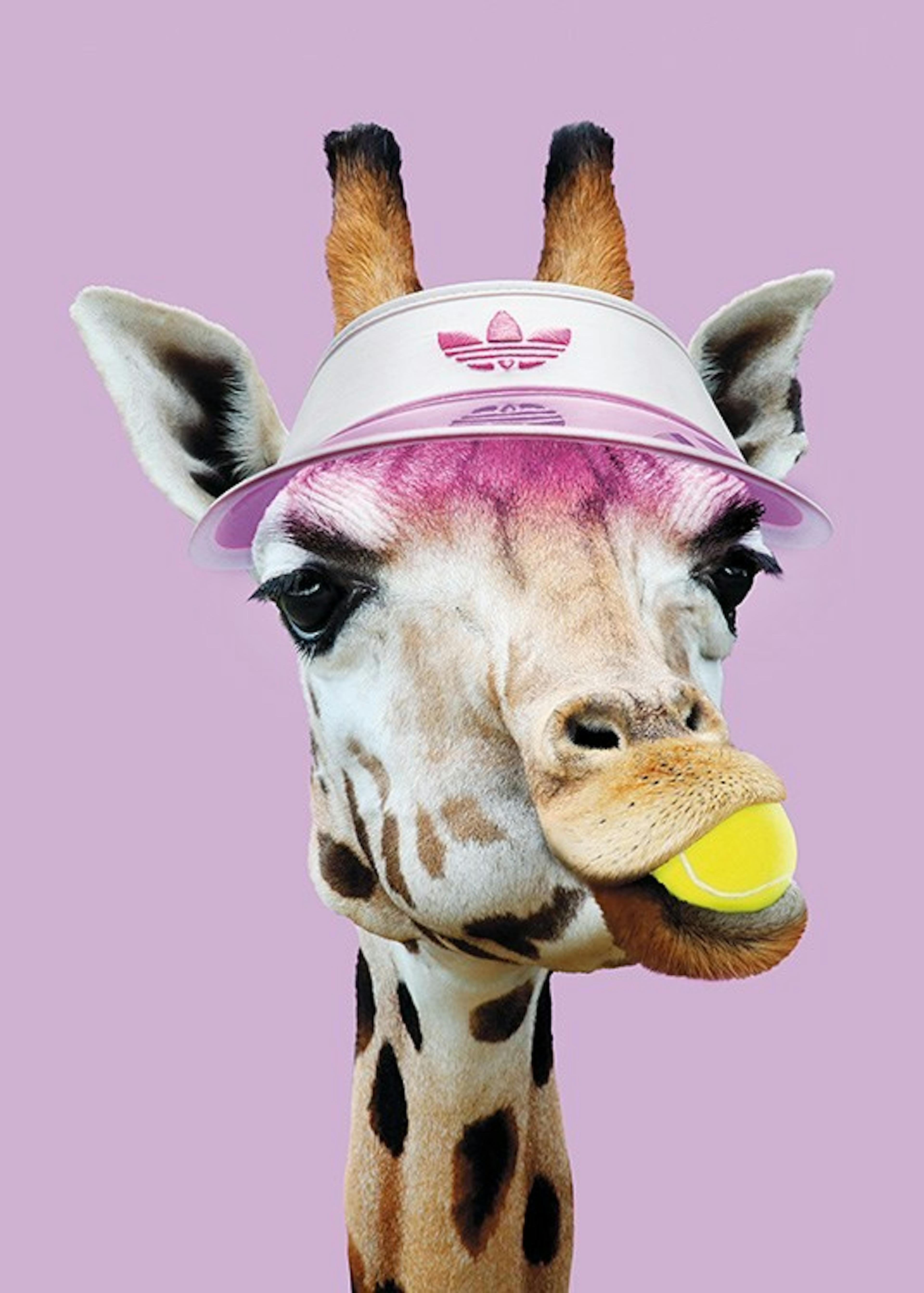 Jonas Loose - Tennis Giraffe Affiche 0