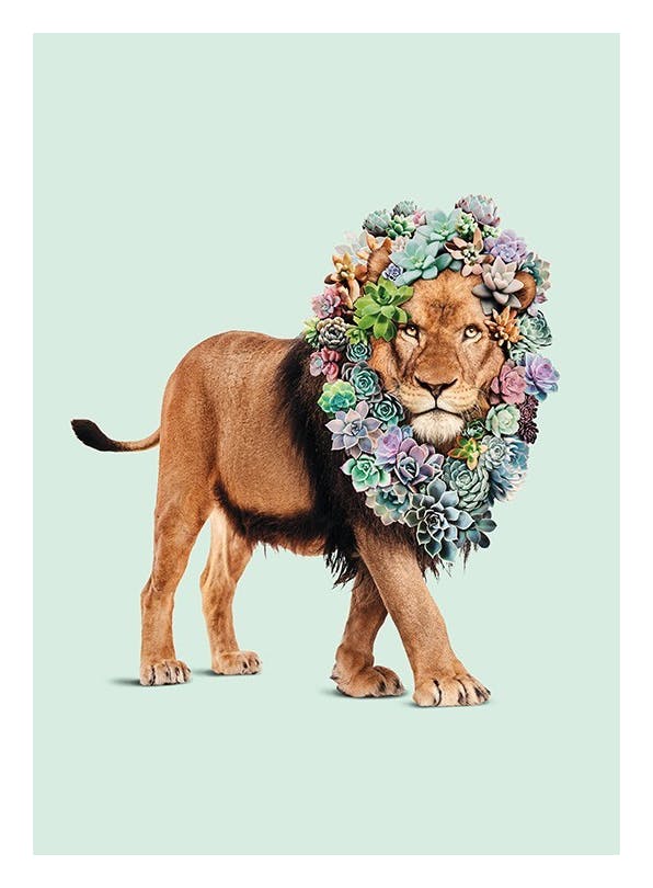 Jonas Loose - Succulent Lion Poster (30x40 cm)