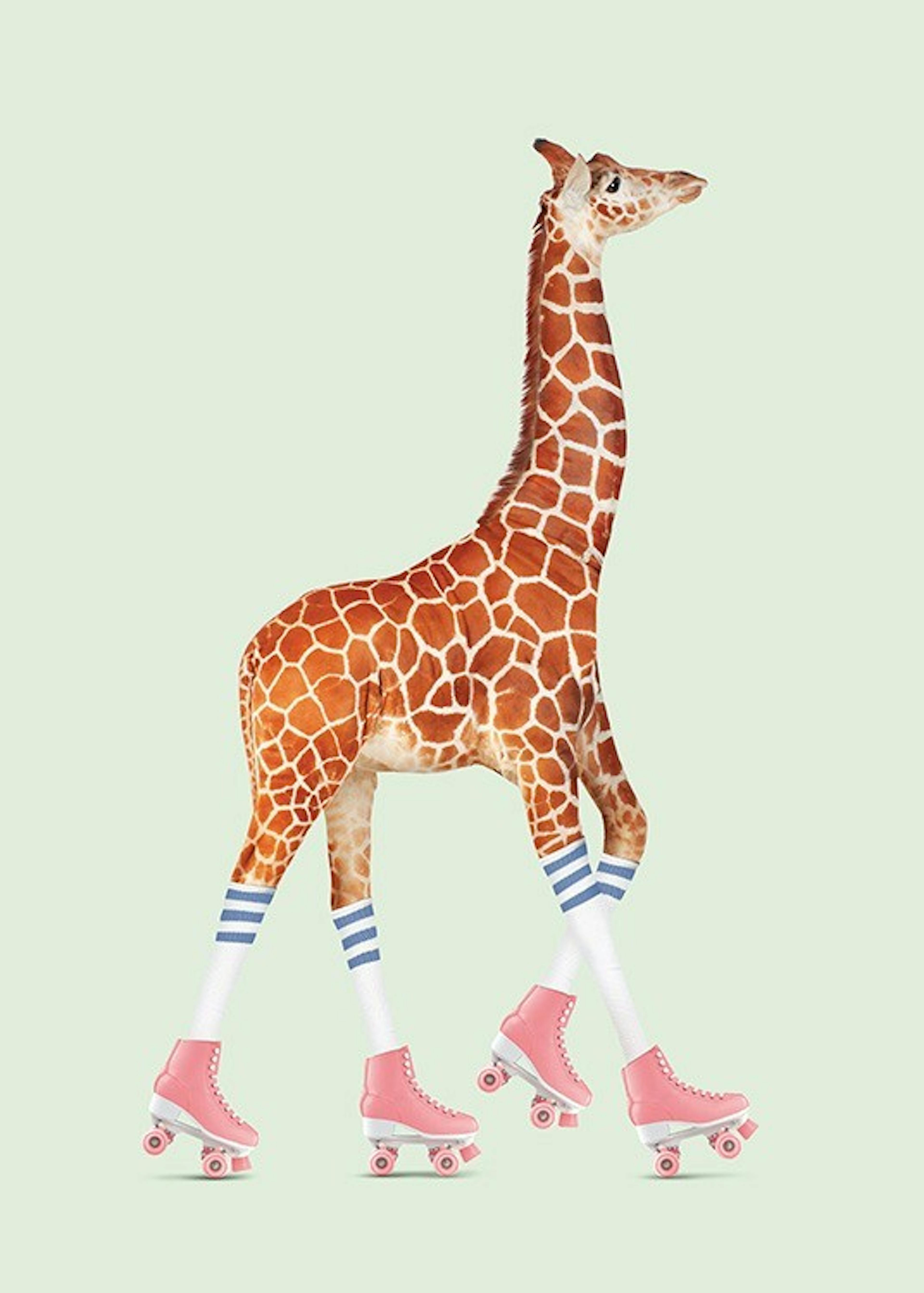 Jonas Loose - Rollerskating Giraffe 포스터 0