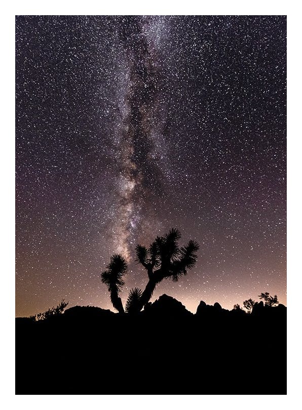 Desert Space Poster (50x70 cm) - Natuur posters