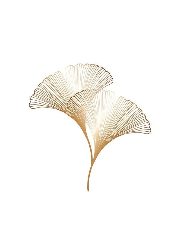Ginkgo Leaves Gold Affiche (13x18 cm) - Affiches botaniques