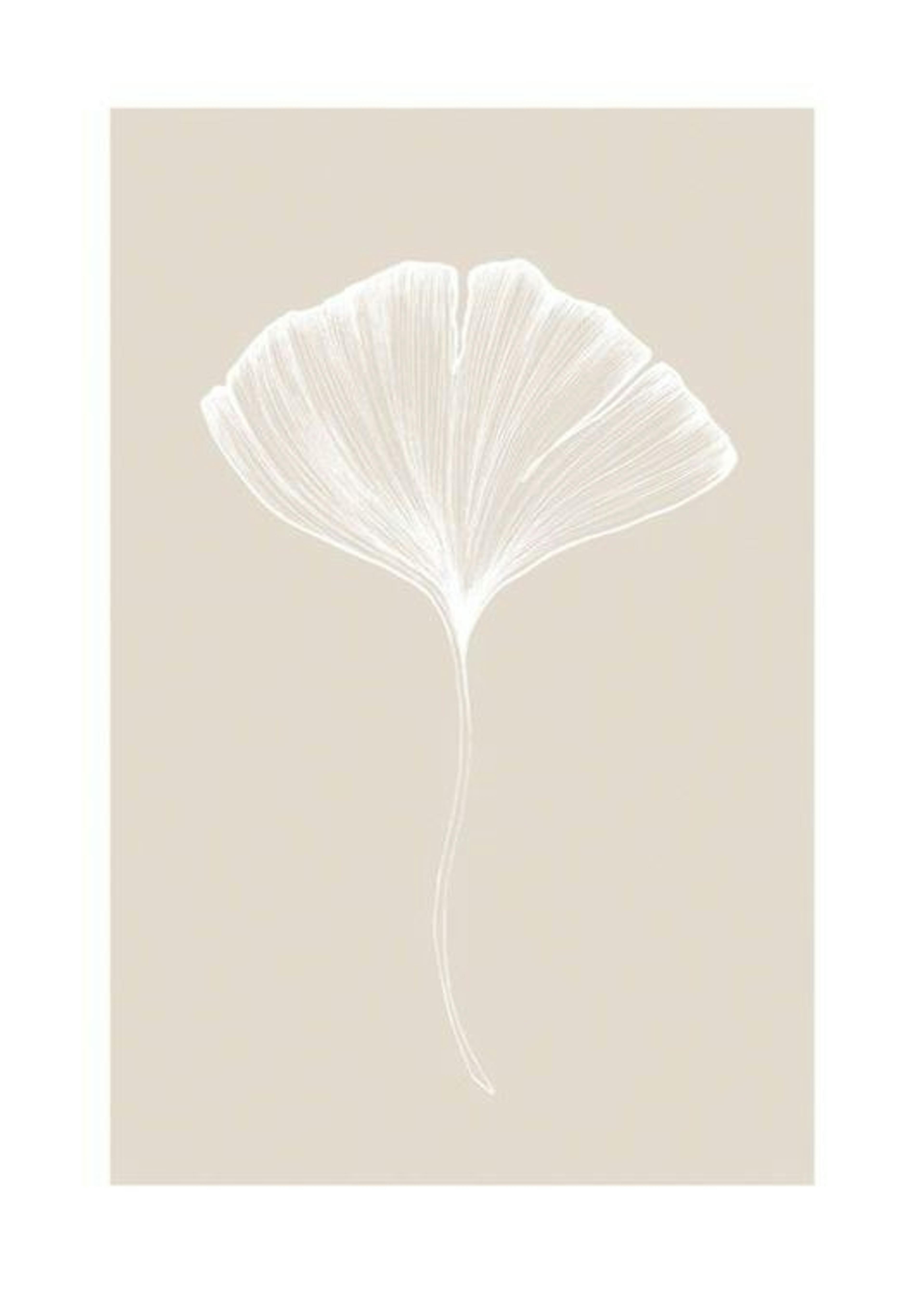 Ginkgo Beige No2 Plakat