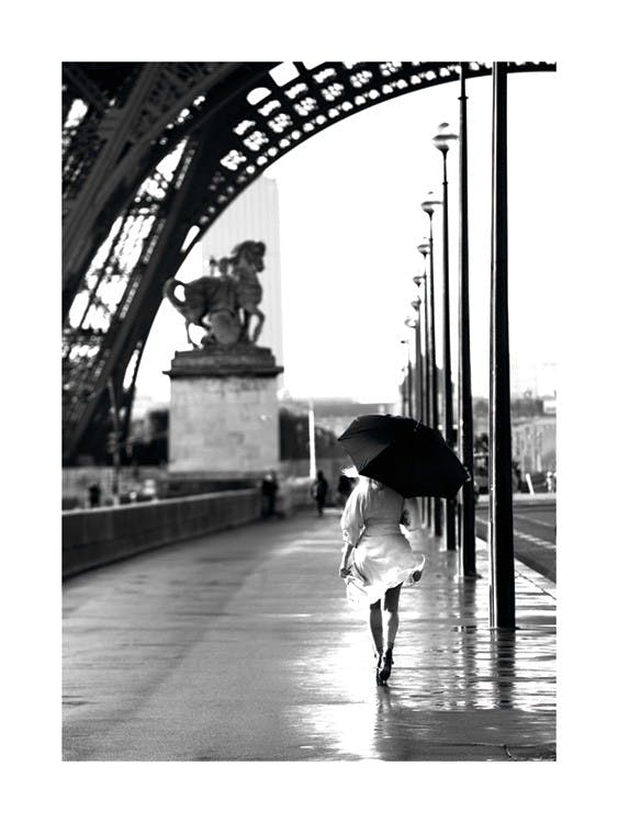 Walking in Paris 0
