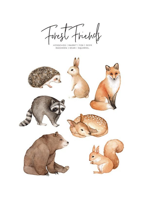 Forest Animals Affiche (30x40 cm) - Affiches pour enfants