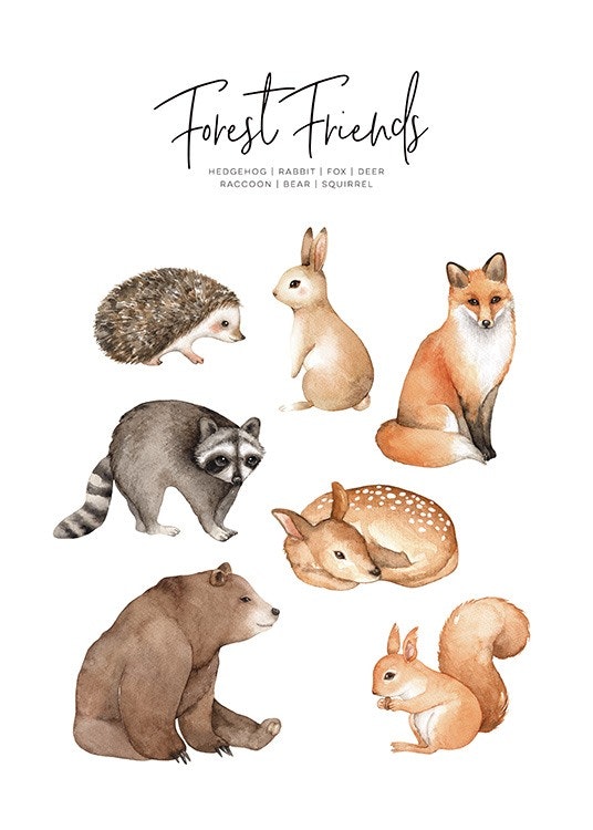 Forest Animals Poster 0